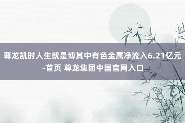 尊龙凯时人生就是博其中有色金属净流入6.21亿元-首页 尊龙集团中国官网入口