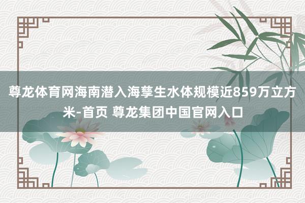 尊龙体育网海南潜入海孳生水体规模近859万立方米-首页 尊龙集团中国官网入口