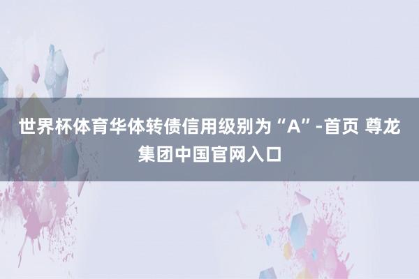 世界杯体育华体转债信用级别为“A”-首页 尊龙集团中国官网入口