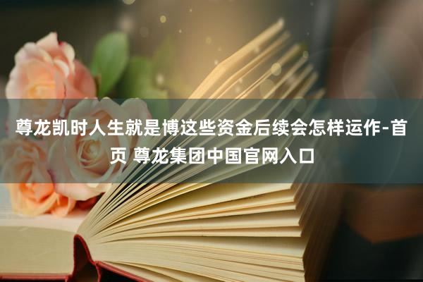 尊龙凯时人生就是博这些资金后续会怎样运作-首页 尊龙集团中国官网入口