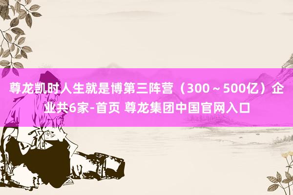 尊龙凯时人生就是博第三阵营（300～500亿）企业共6家-首页 尊龙集团中国官网入口