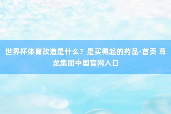 世界杯体育改造是什么？是买得起的药品-首页 尊龙集团中国官网入口