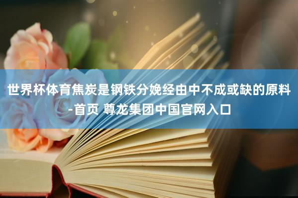 世界杯体育焦炭是钢铁分娩经由中不成或缺的原料-首页 尊龙集团中国官网入口